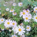 유유목장 이미지