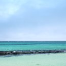 명동왕만두 이미지