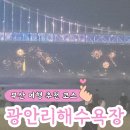 부산광역시 수영구 광안해변로 229   (광안동) 광안리해수욕장 만남의광장 앞 | 올여름 휴가는 부산 광안리해수욕장에서, 해수욕부터 차 없는 거리까지 알찬 후기