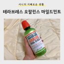 [생활] 입냄새 고민 끝 가글추천! <테라브레스 마일드민트> 사용후기