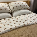 제주영숙 | [제주]‘제주영숙’|서귀포시 감성 숙소 찐후기 및 추천!(조식메뉴,숙소링크 및 인스타 주소 포함)