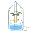 기화농장 | 2025.04.02 | 교내 과학 페어 대회 후기