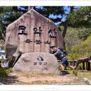 2023/04/16(일요6:30) 모악산 금산사 벚꽃 & 삼천동 막걸리 골목 이미지