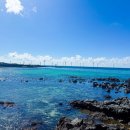 금성리경로당 이미지