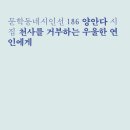 천사안경 한국일보