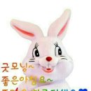 상식 이미지