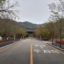 전라남도 영광군에 있으면서 꽃무릇으로 유명한 &#39;불갑사&#39; 사찰을 다시 찾아가 보았지만.(9)