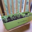 승수목장 이미지