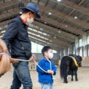 (주)궁평캠프 이미지