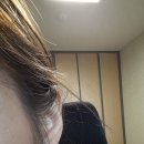 여우피어싱 이미지