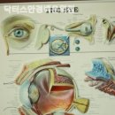 닥터스안경원 이미지