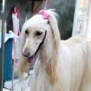 몽스토리 이미지