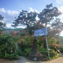 작은동물원 | [의왕 백운호수 카페] 작은 동물원 이색 카페, 수예몽 후기 🦜🌿