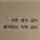 (상반기)발레핏 | 지치고 낡아가는 중인 사람의 일기입니다