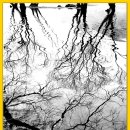 로하스 해피로드 이미지