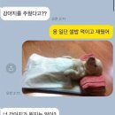 사랑을 담은 수제 체리셔벗🍒