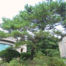 판문동3 이미지