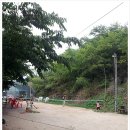 자연오리 이미지