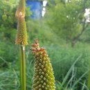 백합펜션 이미지