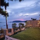 오션갤러리펜션 | 태안 몽산포 오션갤러리 펜션(feat.수영장)후기 조개잡이 물때보는 법