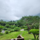 가평강촌부동산공인중개사사무소 | 가평부동산 가평홍천땅N공인중개사 후기