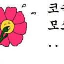 플라워위드 - 안산시 상록구 송호1길 36 | 플라워위드