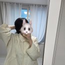 코스 COS 나일론 퍼널넥 재킷 구매 후기 코스세일