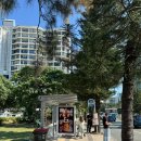 씨월드 피시 | [여행/호주] 골드코스트 씨월드 웨일와칭 &amp; 씨푸드마켓 맛집