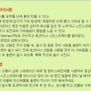 한빛화장품 이미지