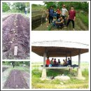 와리농장 이미지