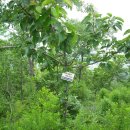 곡성-250 이미지