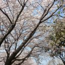 가마못공원 이미지