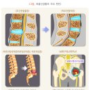 하남재활의학과의원 이미지