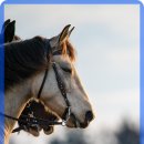 GS25 울산진하점 이미지