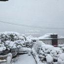 더좋은힐스공인중개사사무소 이미지