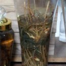 건우농장 이미지