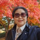 명품드림 이미지