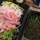 웬디스보틀 네이버블로그