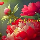 🌺인간관계의 지혜 명언 🌺 이미지