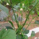 내손밥상 이미지