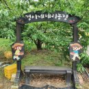 경아네농장