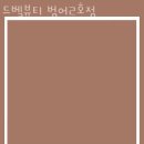드벨뷰티범어