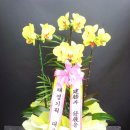 태경기획 - 부천시 원미구 조마루로 421 | 태경기획