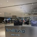 바오바오캠핑장 | 바오바오 보스턴 스몰 무광블랙 실착후기 백화점가격정보