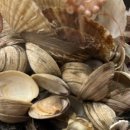 행운동-30 이미지