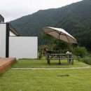 스테이 봉정 이미지