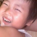 쭈니와비니 이미지