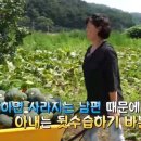 봉화카센타 이미지