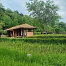 파파스라이어 이미지