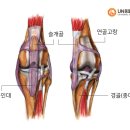 유앤동물의료센터 이미지